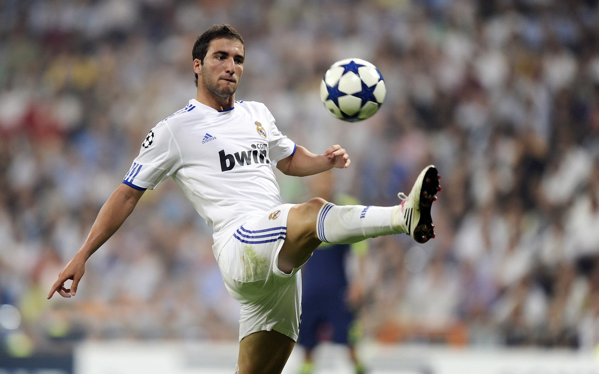 “青少年足球装备升级，专业化设备普及全国”，青少年足球比赛用鞋规定